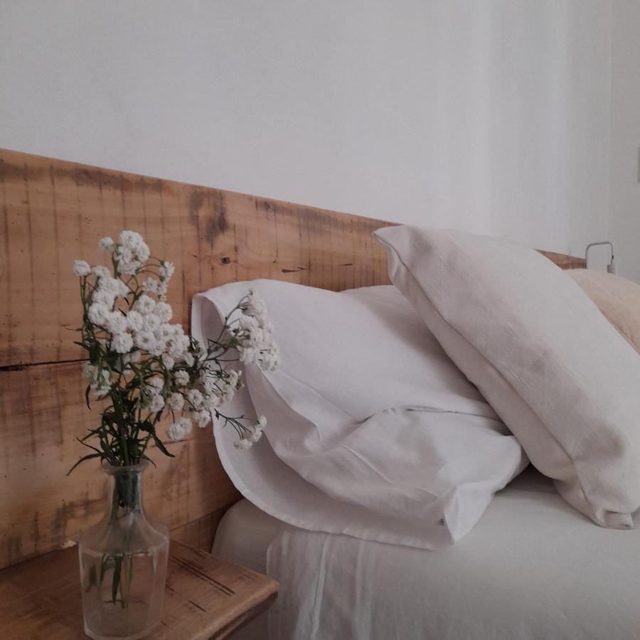 サルッツォCasa Cucunアパートメント エクステリア 写真